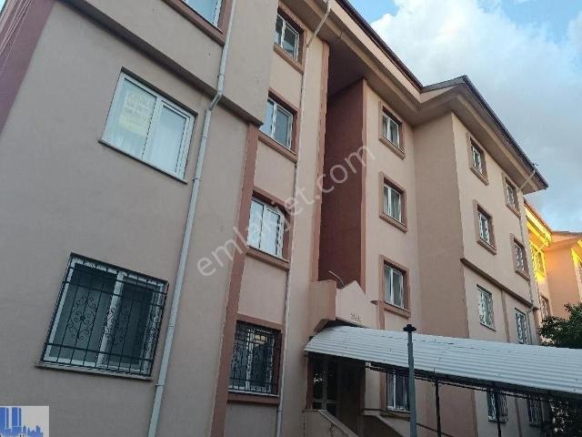 Erzincan Merkez, Erzincan içerisinde kiralık mülk