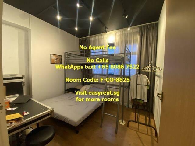 Room for rent in Chai Chee