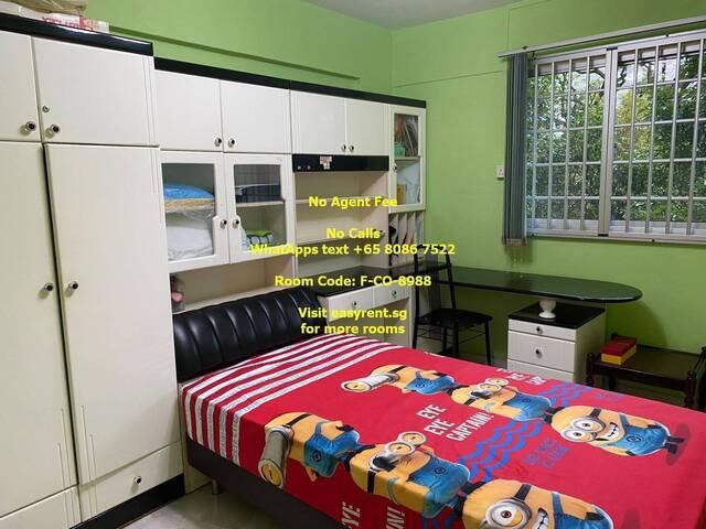 Room for rent