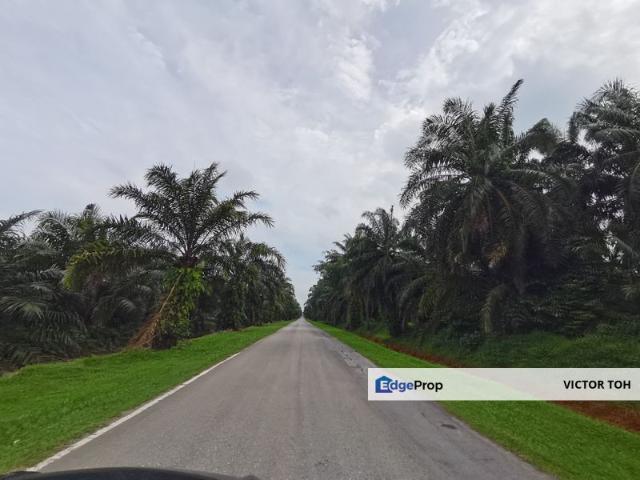 Shop for sale in Sungai Petani, Kuala Muda