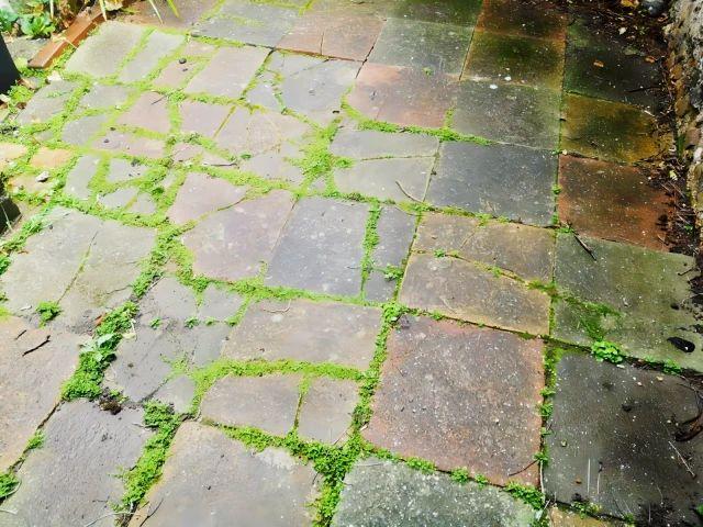 Room for rent in Hanover & Queen's Park, Brighton