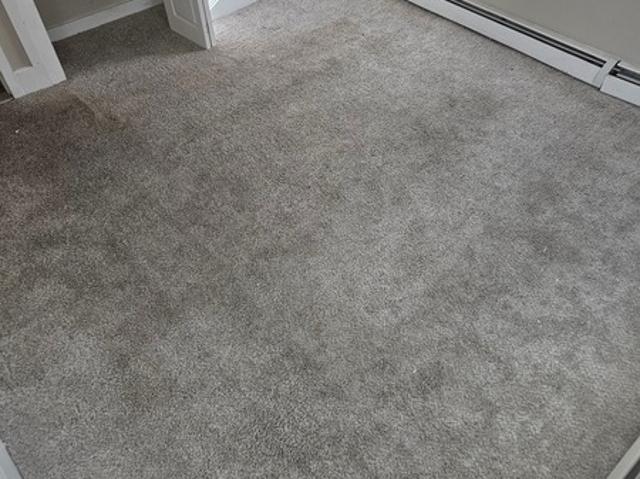 Room for rent in Providence, Rhode Island