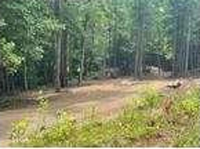 House for rent in Virginia
