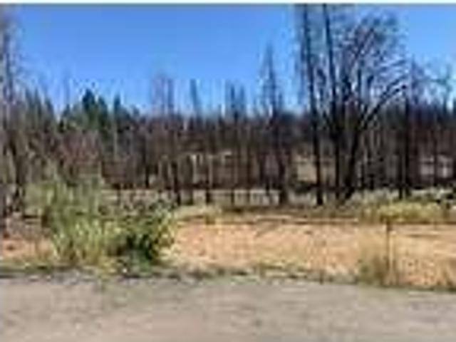 House for rent in Grizzly Flats