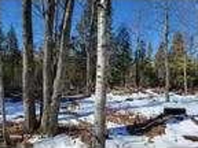 House for rent in Houghton Lake