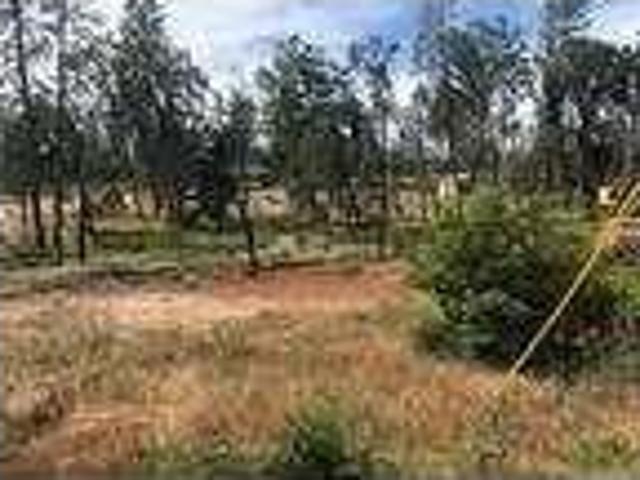 House for rent in Magalia