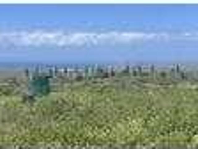 House for rent in Maunaloa, Hawaii