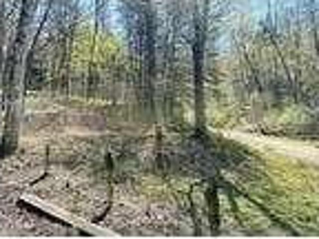House for rent in New Tazewell
