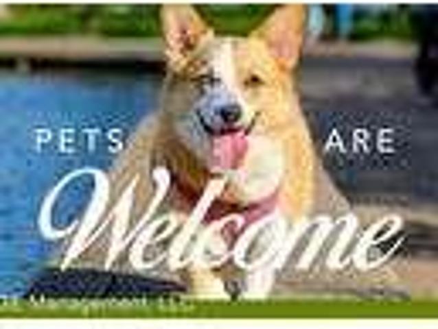 House for rent in Torrance, California