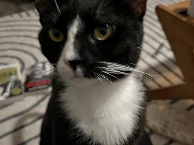 Room for rent in Plano, Texas