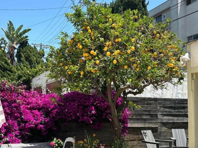 Room for rent in Canoga Park, California