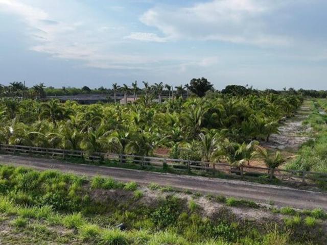 Land for sale in Loxahatchee