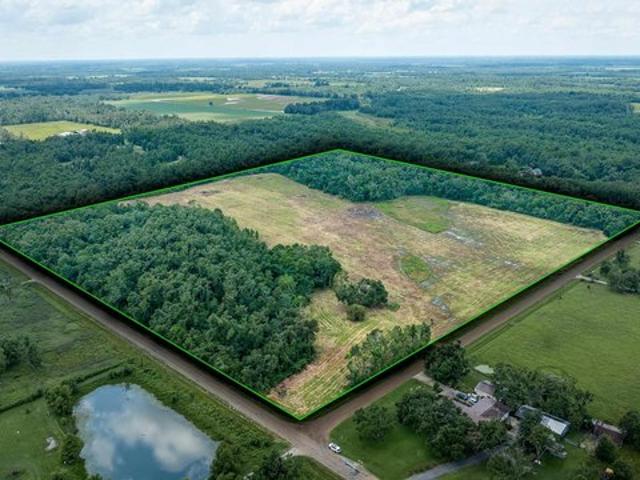 Land for sale in Rayville, Louisiana