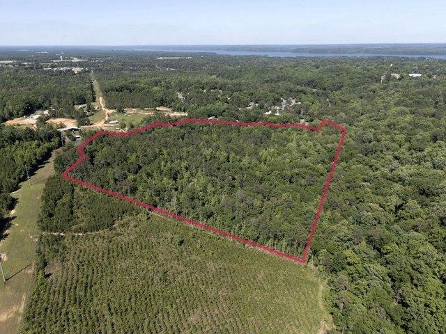 Land for sale in Eufaula, Barbour County