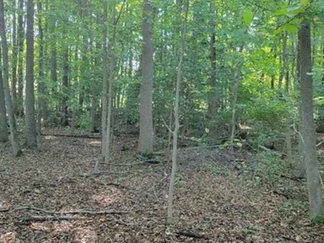 Land for sale in Accokeek, Maryland