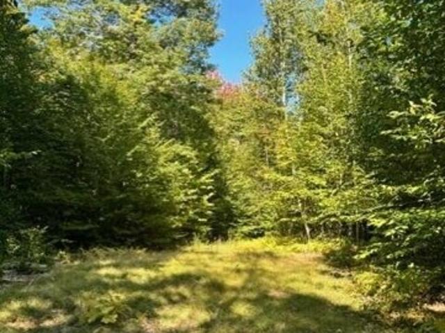 Land for sale in Jay, Franklin County
