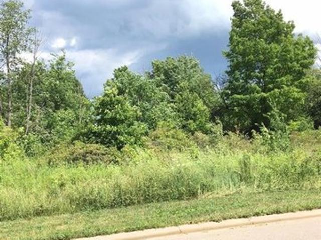Land for sale in Burton, Michigan