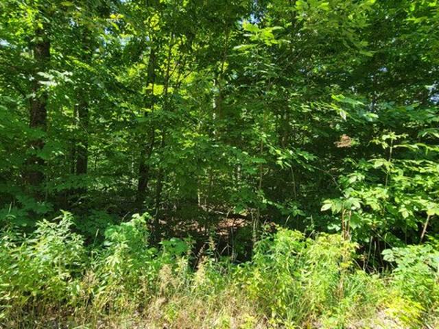 Land for sale in Wolverine, Michigan