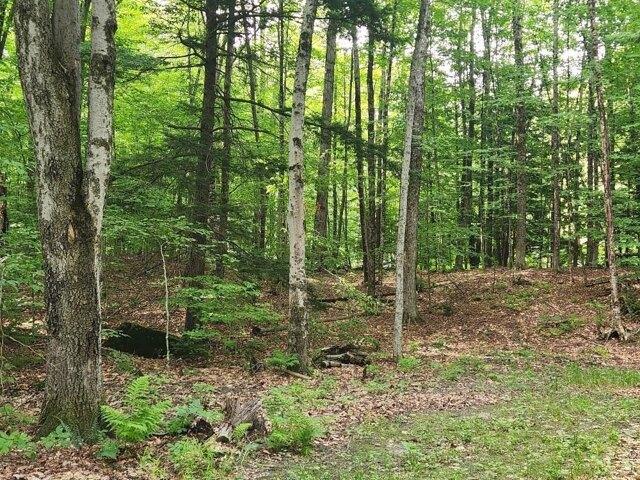 Land for sale in New Hampshire
