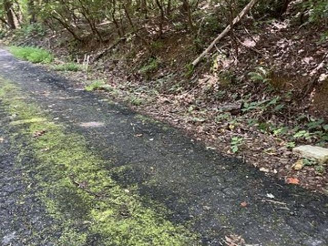 Land for sale in Clayton, Georgia