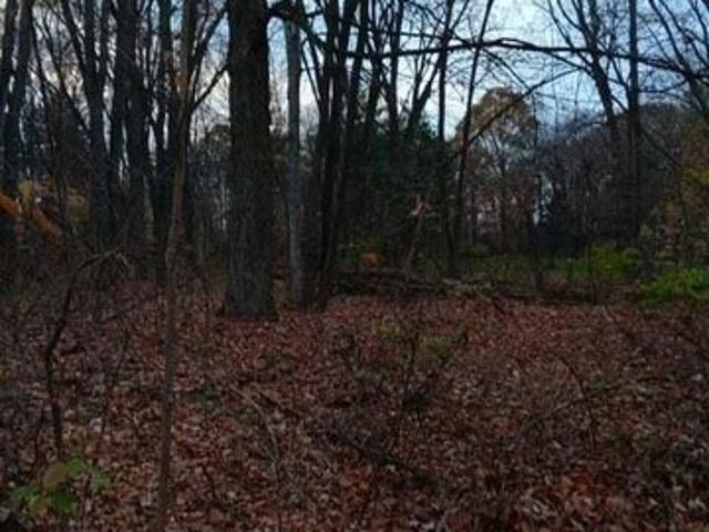 Land for sale in Williamston, Michigan