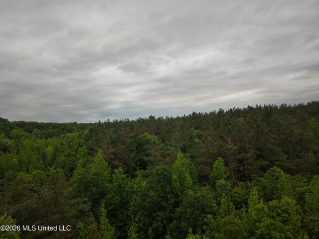Land for sale in Grenada, Mississippi