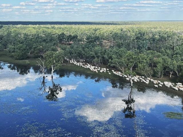 Property for sale in Carpentaria, Queensland