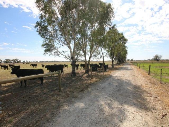 Cottage for sale in Merrigum, Victoria