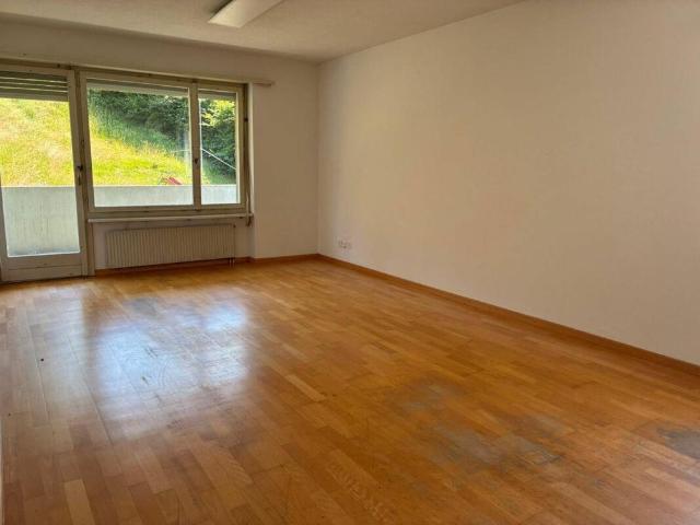 Apartment mieten in Ebikon, Lü