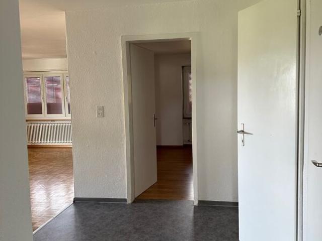 Apartment mieten in Mellingen, Aargau
