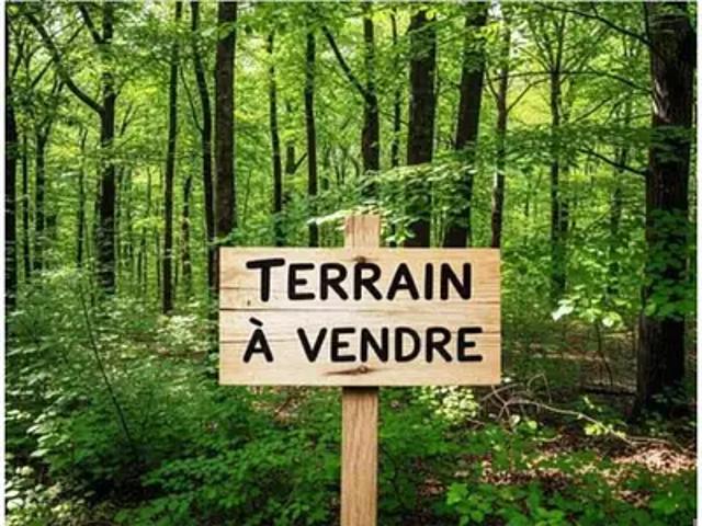 Terrain vente à Vannes, Bretagne