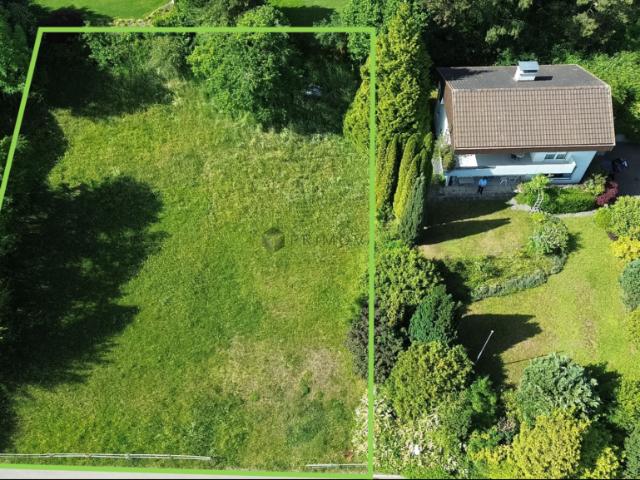 Immobilie kaufen in Wil (SG), St. Gallen