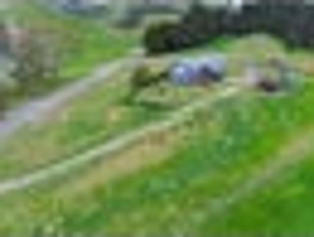 House for sale in Tararua District