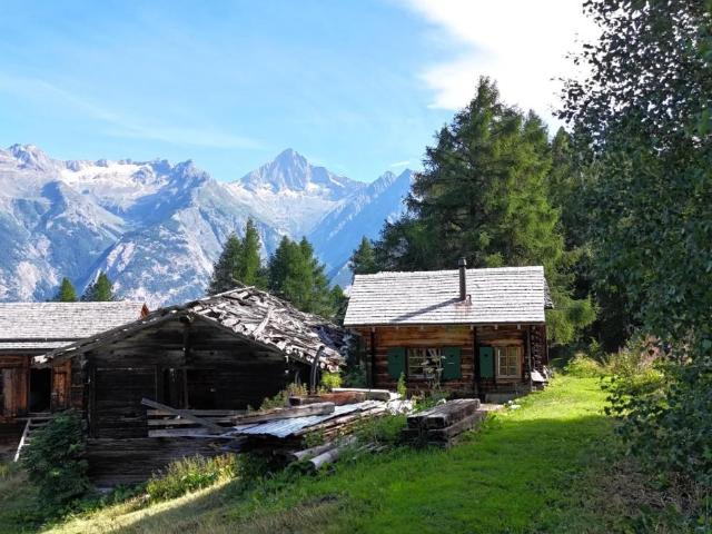 Haus kaufen in Unterbäch, Wallis