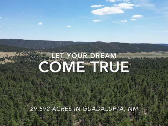 Land for sale in Mora, New Mexico