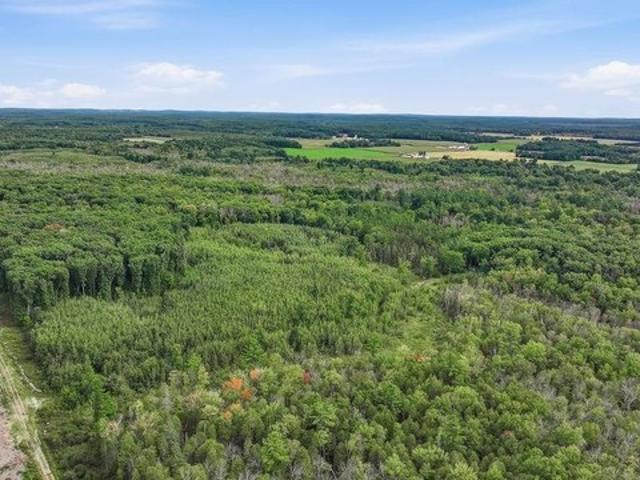 Land for sale in Iola, Wisconsin