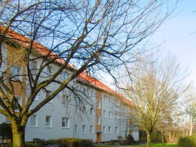 Apartment mieten in Südstadt-Rautheim-Mascherode, Braunschweig