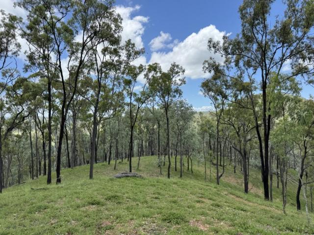 Property for sale in Monto, Queensland