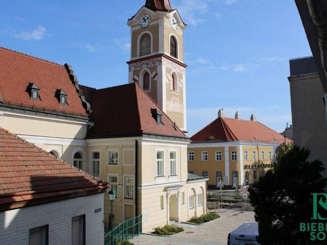 Wohnung kaufen in Mödling, Niederösterreich
