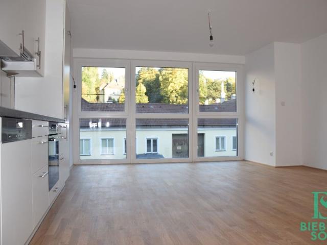 Apartment mieten in Hietzing, Wien