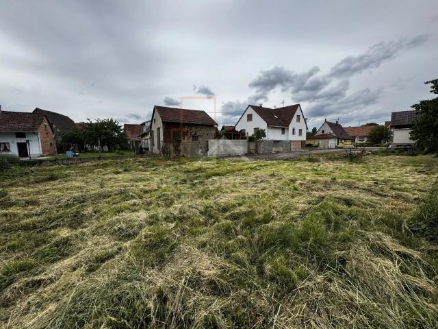 Terrain vente à Beinheim, Collectivité européenne d'Alsace