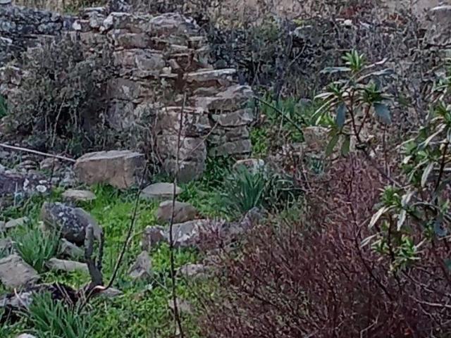Terreno venda em Aldeia dos Fernandes, Almodôvar