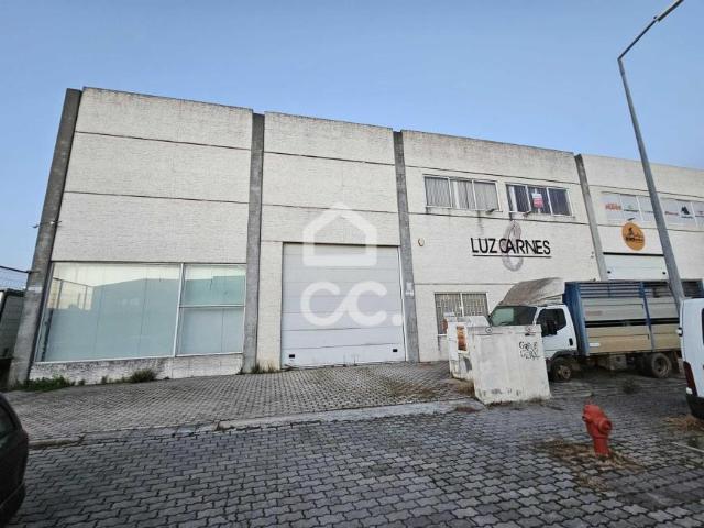 Loja venda em Beja