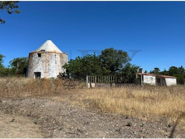 Terreno venda em Beja