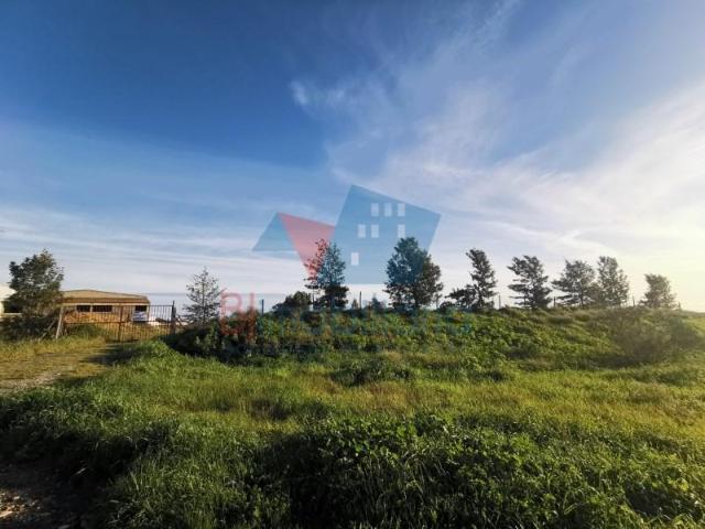 Terreno venda em Beja