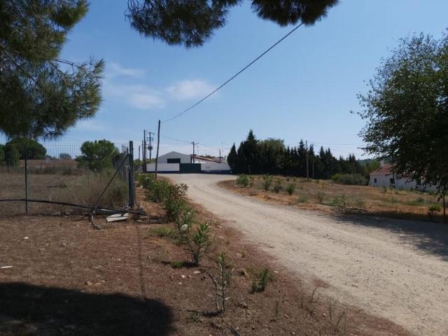 Terreno venda em Beja