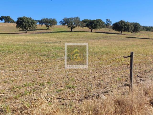 Terreno venda em Beja