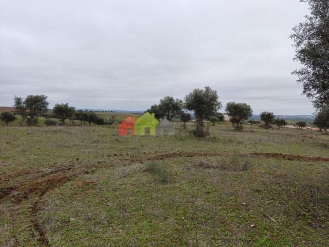 Terreno venda em Beja