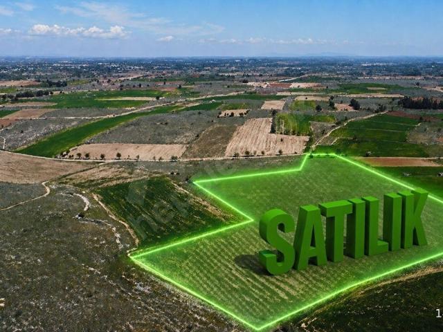 Kutlubey, Bekilli içerisinde satılık Arsa
