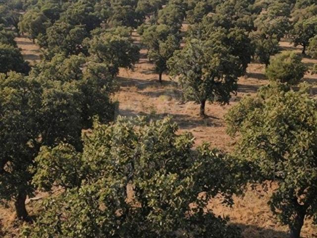 Bükrüce, Bekilli içerisinde satılık Arsa